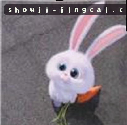孙丽